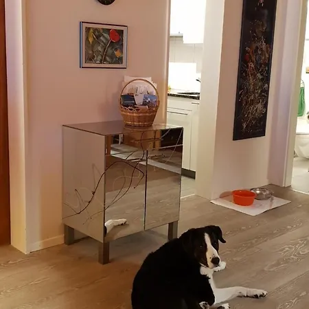 2,5 Familienwohnung Lejlighed